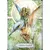 El oráculo de Luz y Sueños - comprar online