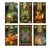 Fairy Lenormand en internet