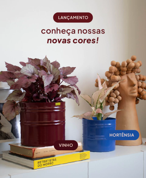 Carrossel 1