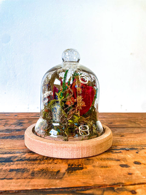 Cúpula de Vidro - comprar online