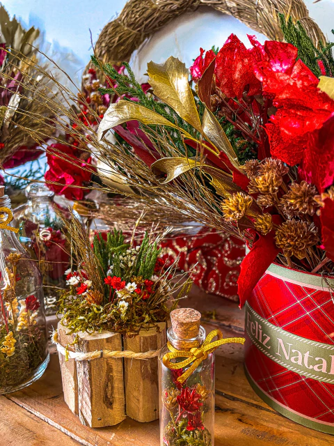 Vídeo de Dona Planta