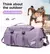 2x1 Bolso LVQUE ¡HASTA AGOTAR STOCK! - tienda online
