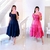 Imagen de Vestido Lorena