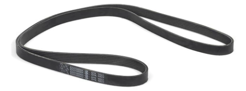 Correa Poly V Original Renault Logan Sandero 1.6 16v K4m