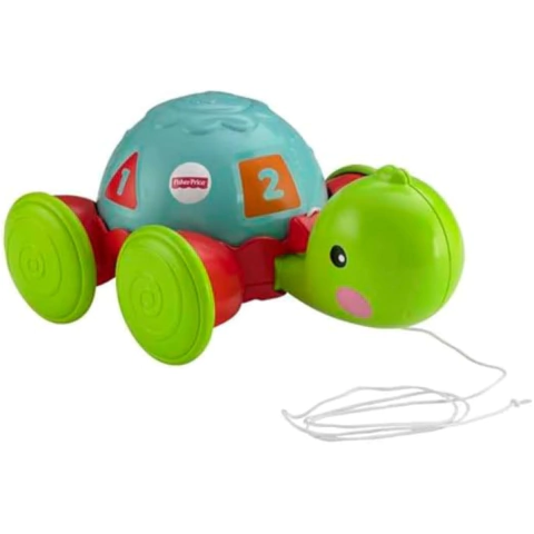 Fisher Price Empurra Tartaruga Mattel Y8652 - comprar online