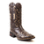 Bota texana café com dourado 6172 - annacountry1