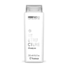 Framesi Morphosis Restructure Shampoo X 250ml