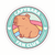 Sticker capibara Personalizado Vinilo Premium - Ultra Resistente