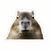 Sticker capibara Personalizado Vinilo Premium - Ultra Resistente