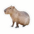 Sticker capibara Personalizado Vinilo Premium - Ultra Resistente