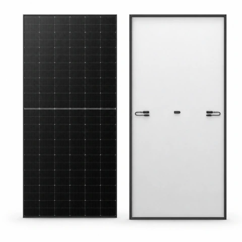 Panel Solar LONGi 650W Hi-MO X10 Scientist Bifacial LR8-66HVD-650M, frente y reverso
