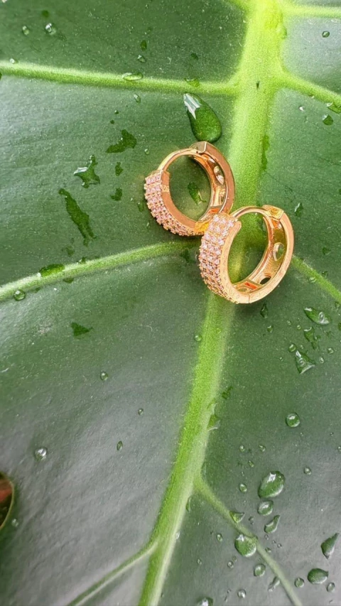 brinco cravejado - dourado