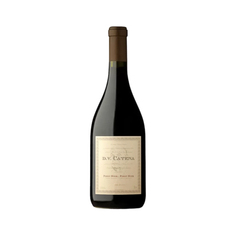 DV Catena Pinot Noir - comprar online