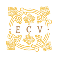 Marca 10 de Senzafine Winehouse