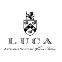 Marca 23 de Senzafine Winehouse