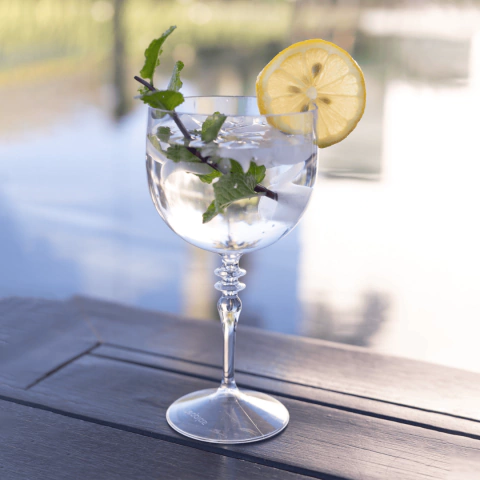 Taça de Gin 500ml Lux Acrilíco Premium Resistente - comprar online