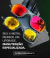 Banner de Eba Imports