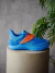 Curry Fox 1 'Happy Fox Day'