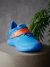 Curry Fox 1 'Happy Fox Day' - RBplace