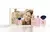 Kit Feminino 10 Dream Brand Collection 3x25 ml - Inspiração