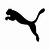 Puma (Pequeno)