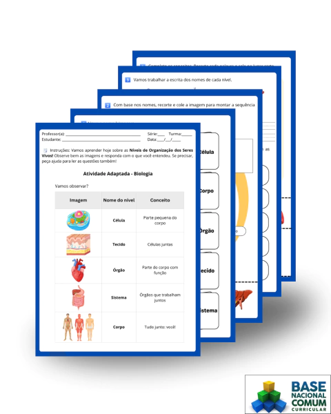 Níveis de Organização dos Seres Vivos - buy online