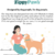 Pelúcia interativa Zippy Burrow® – Milk and Cookies na internet