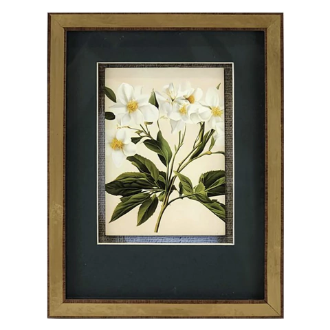 Quadro Decorativo - Postais Florais V