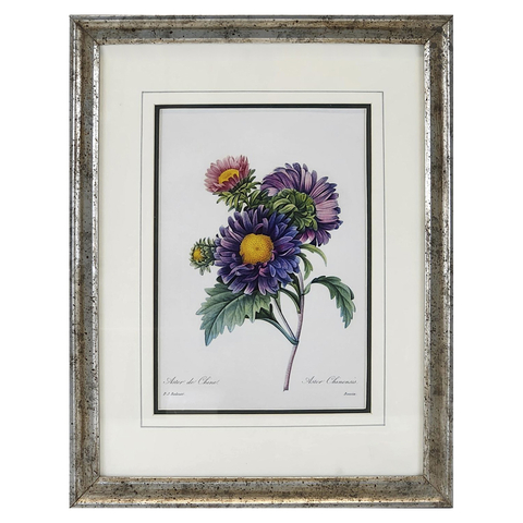 Quadro Decorativo Flores Redoute I