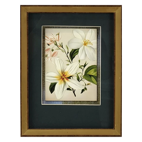Quadro Decorativo - Postais Florais VII