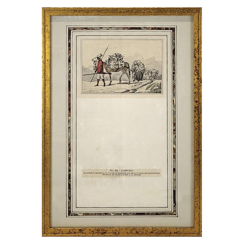 Quadro Decorativo - Gravura Antiga Pintada à Mão I