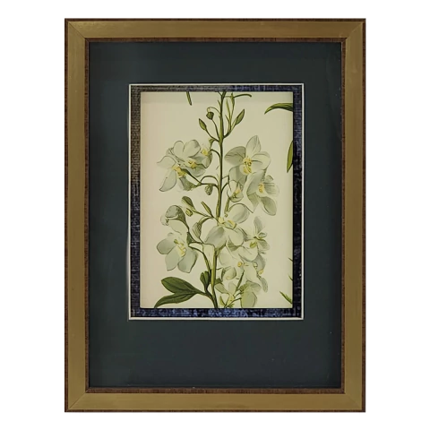 Quadro Decorativo - Postais Florais III