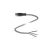 Cabo Sensor M12 4 Pinos Reto 10mt V1-g-10m-pvc Pepperl+fuchs - comprar online