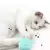 Bolinha CatSound™ com Catnip – Brinquedo Interativo para Gatos - PetShoop