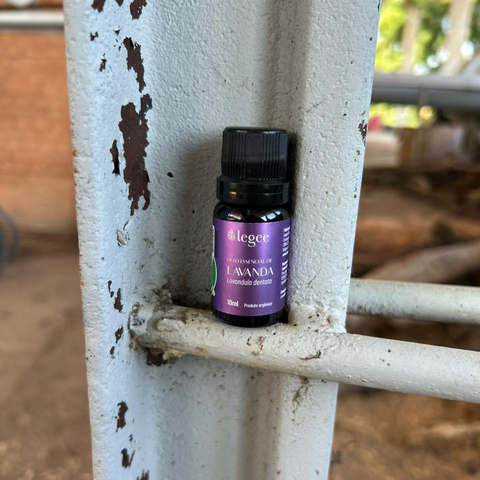 Óleo essencial de Lavanda Brasileira (Lavandula dentata) ORGÂNICO - 10mL - comprar online