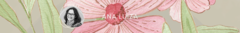 Banner da categoria Ana Luiza