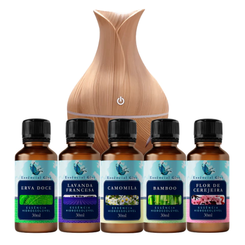 Kit com 10 essências Glyz concentradas de 30ml cada + Umidificador Ultrassônico. - comprar online