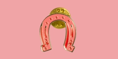 Pin Ferradura da Sorte Rosa – Maria Petiti - loja online