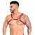 Harness Gladiador Masculino - comprar online