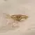 ANILLO GIOVA (AN029) en internet
