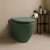 Inodoro Corto Ferrum Fontana Iocqj-Vo Verde Oliva en internet