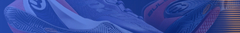 Banner de la categoría Zapatillas