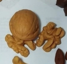 Molde Noz Realista com Casca