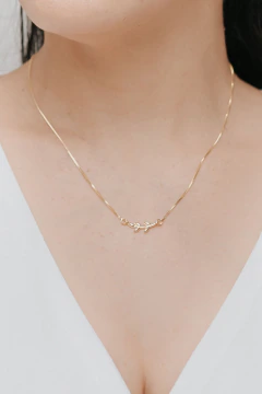 Colar Raminho - loja online