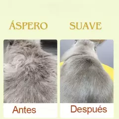 Pack Peludo - Cepillo a vapor + esponja de silicona + limpia pata - tienda online
