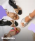Banner de Las bebas