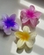 Presilha Flores - comprar online