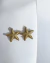 Brinco Estrela do Mar Banhado a Ouro 18k na internet