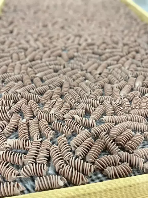 Fusilli Integral Monona.
