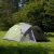 Carpa Coleman Darwin 2 Plus - MESTIZO